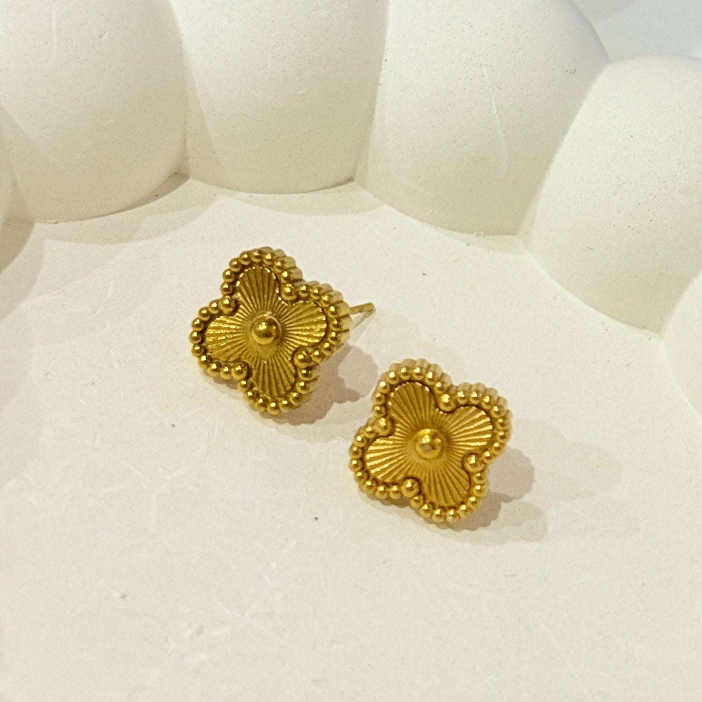 Clover Stud Golden