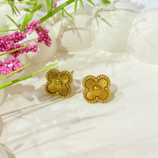Clover Stud Golden